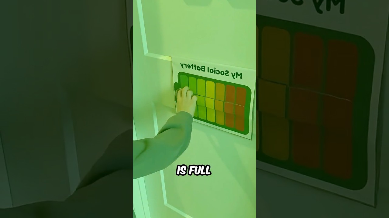 What does this indicator on her door mean? 🤯🔋