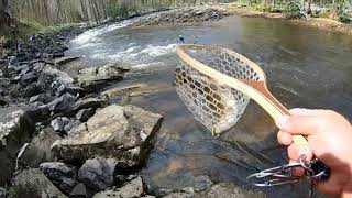 Cranberry River WV Goldrush (not so much) 2020 Profile