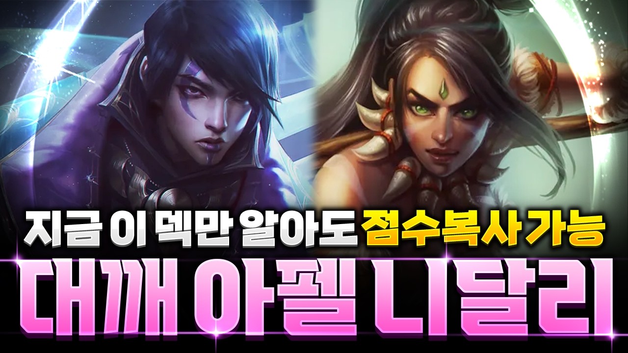 한 챌린저가 대깨로 점수복사 중인 아펠 니달리덱 핵심 공개합니다!