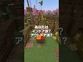 あなたはどっち派？www #shorts #マイクラ