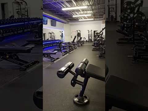 Free Weight & Bench Section Tour — frame from the video
