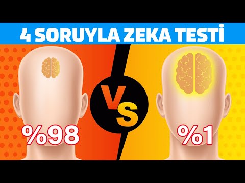 4 Dakikada Zekanızı Test Edin