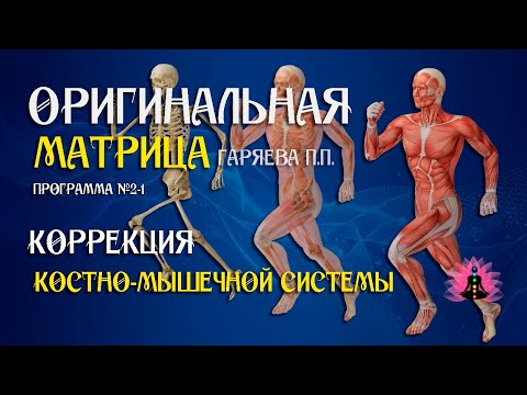 "Коррекция костной системы" Программа №2 1 ⚠️ Оригинальная матрица Гаряева П.П ☀️ SoftRadio.ru