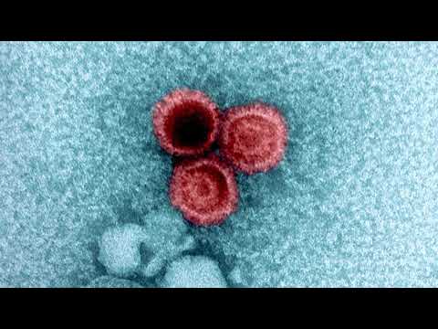 Приховане Вірусне Навантаження: Чому Віруси Зберігаються у Здорових Людях