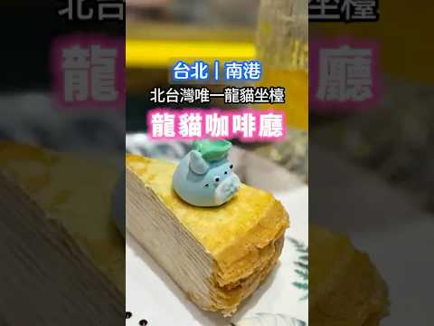 台北南港北台灣唯一龍貓坐檯咖啡廳#台北美食 #咖啡廳