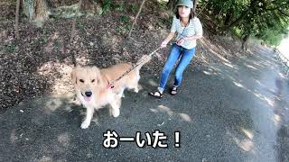 散歩で秋の気配を感じ始めました