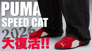 【スピードキャット】再ブーム到来!!薄底なのに痛くならないコツ、教えます。