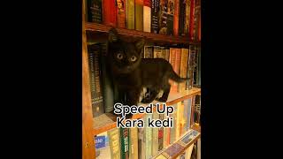 Melis Fis Kara Kedi #speedup ✨ Resimi