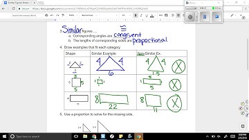 Similar Figures Notes Video