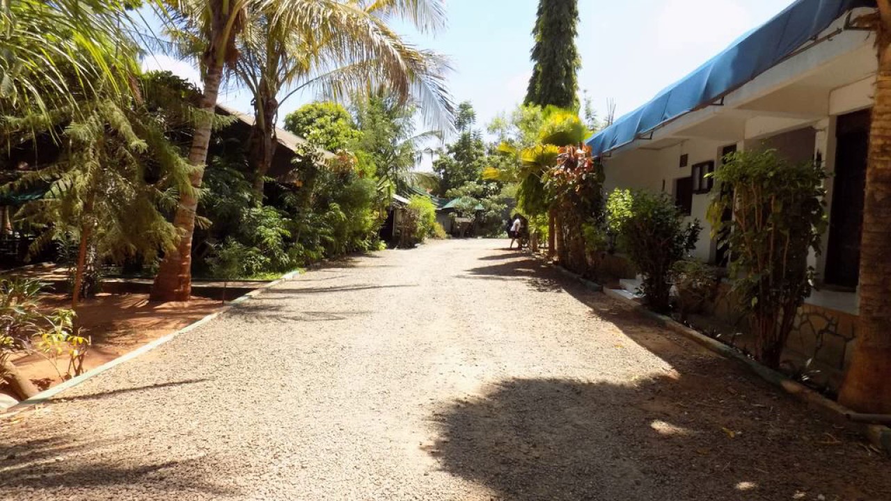 Impala Safari Lodge