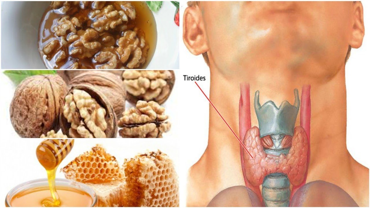 Alimentos para la tiroides alta
