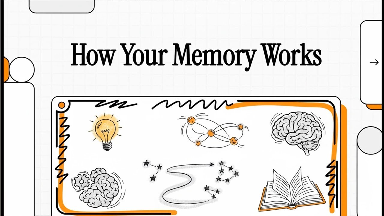Memory: How Your Memory Works - YouTube