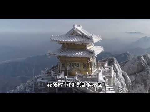 是七叔呢 - 半生雪【動態歌詞