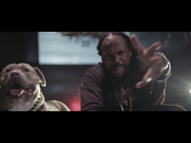 F.I. - Green Is Back (prod. Eurosoundzz) - YouTube