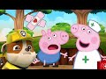 The Boo Boo Song Paw Patrol e Peppa Pig Pig | Miss Polly Had a Dolly Kids Song