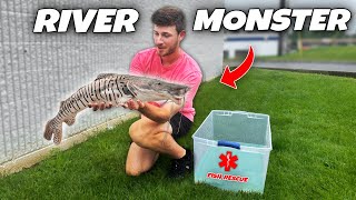 Rescuing MONSTER CATFISH from Tiny AQUARIUM!!