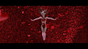 What is the meaning of American Beauty?