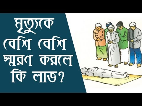 ভিডিও: বিড়ালরা মৃত্যুকে কেমন অনুভব করে