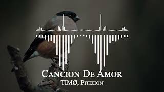 TIMØ, Pitizion - Cancion De Amor