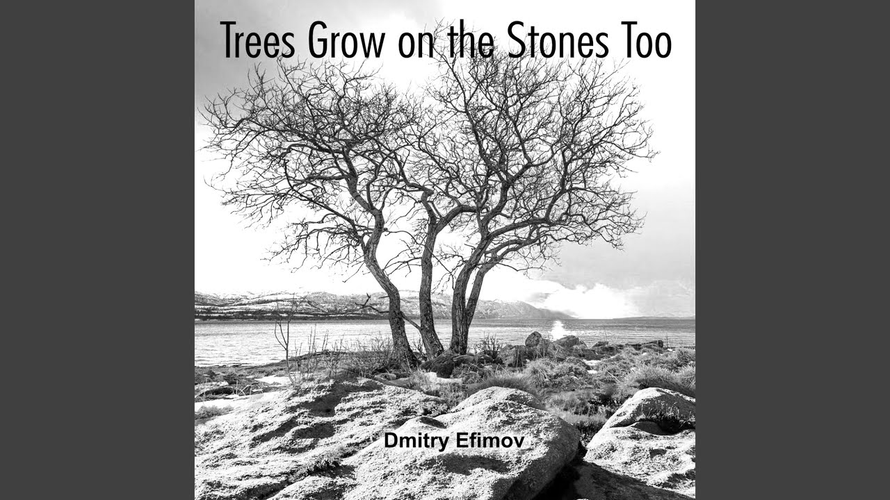 Trees Grow on the Stones Too 