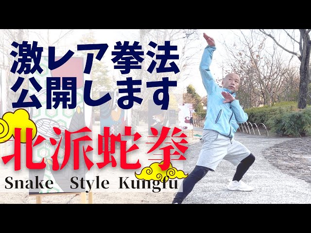 中国武術 カンフー少林寺 蛇拳 教本激レア！ sddefault.jpg