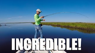 3 sights I've NEVER before seen in the marsh