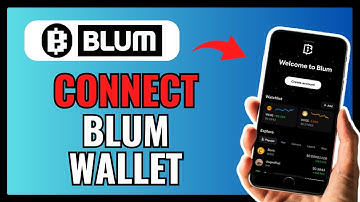 How To CORRECTLY CONNECT BLUM WALLET 2024!