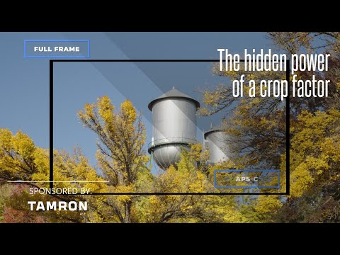 The hidden power of a crop factor