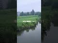 本日の綾瀬川。8/17-3