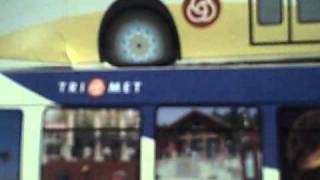 All the 77 buses are stuck!