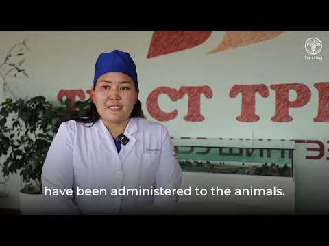 AMR Farmyard&ndash;Practitioner video on the farm inspector