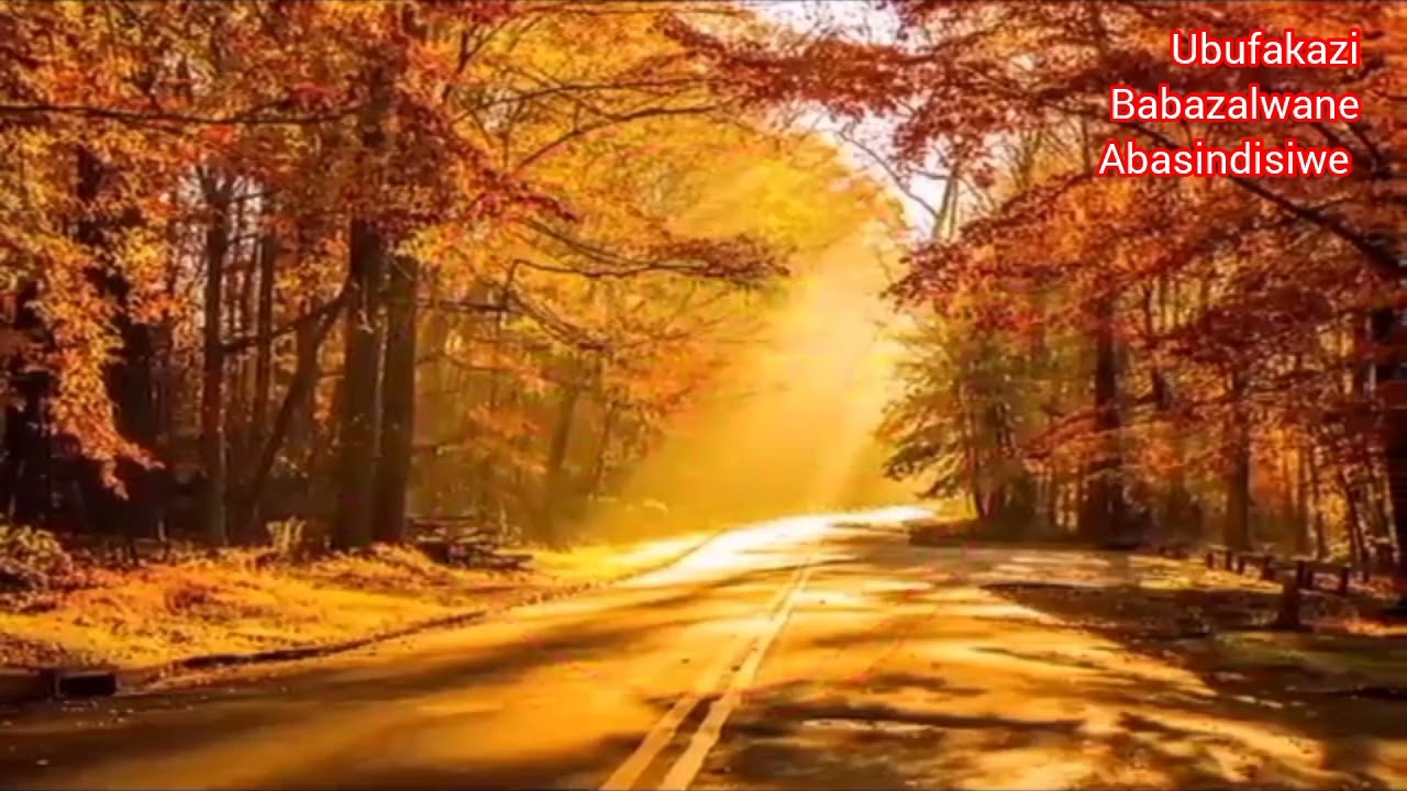 M F Mlambo - izinsuku zokugcina sezifikile, Ama 2000 awahloniphi abantu abadala, ukuthanda imali etc