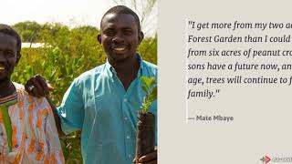 Gift of Trees :60 PSA