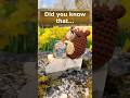 How many 0-5 year olds have books read to them at home?