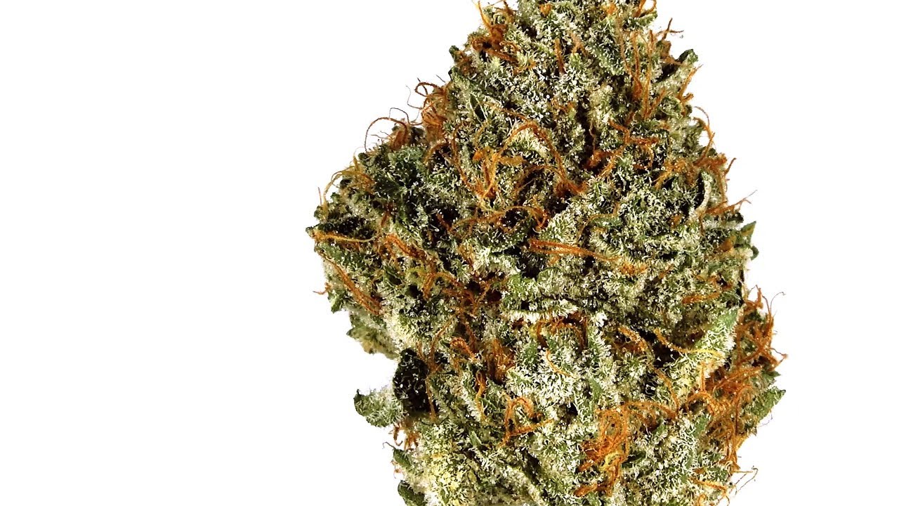 Black Triangle | Strain Review