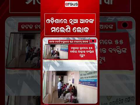 ଓଡ଼ିଶାରେ ନୂଆ ଆତଙ୍କ... | Scrub Typhus Alert in Cuttack | Health Dept Warning | Argus News