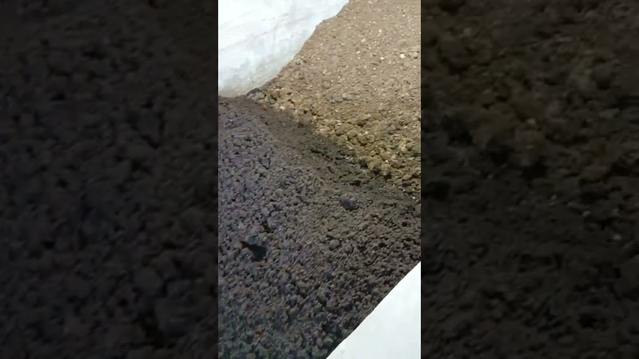 MANIPUR 🪱🪱🪱 VERMICOMPOST || EIKHOIGI ORGANIC VERMICOMPOSTING