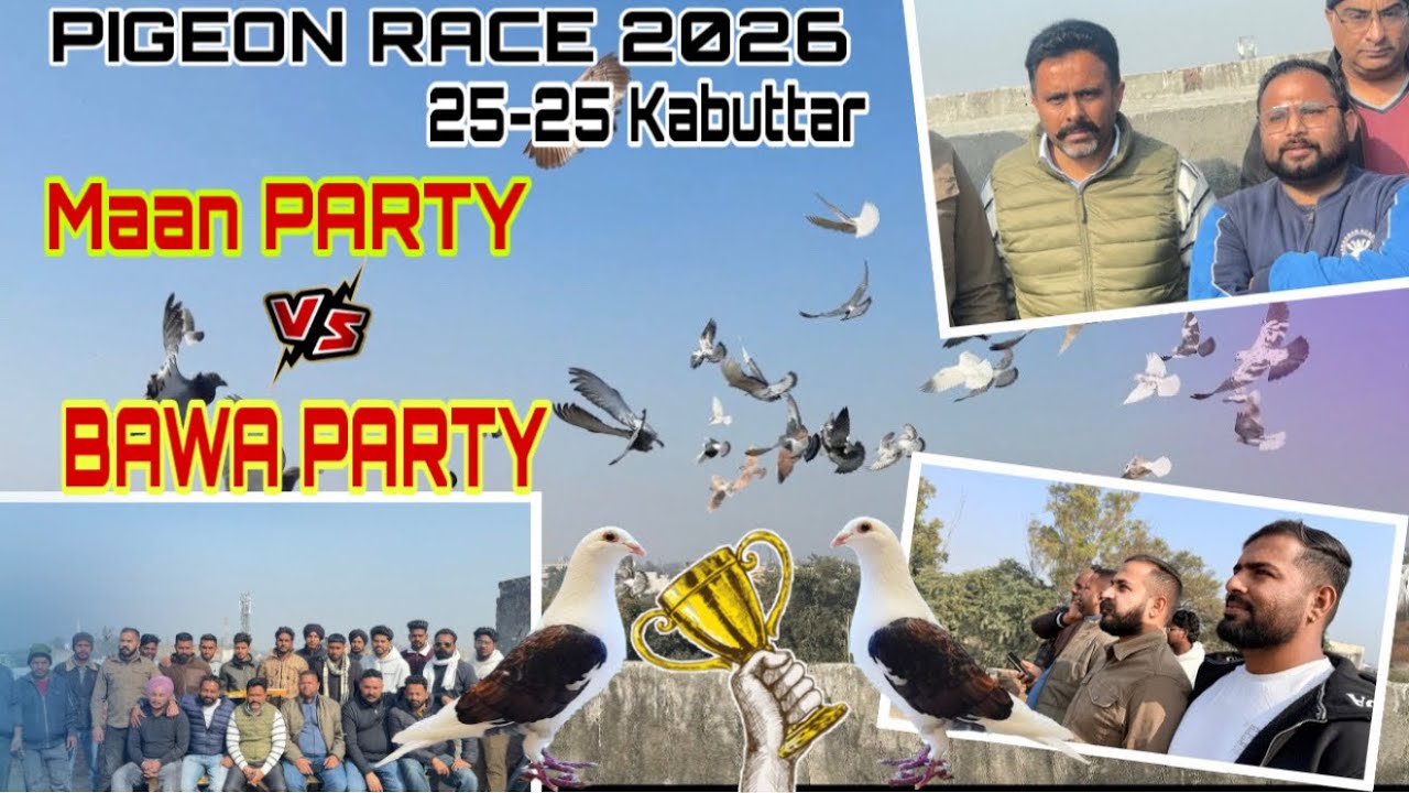 25-25  Pigeon Race in Punjab || Bawa Party Vs Maan party Kabutarbazi mukabla 