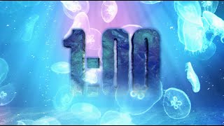 Famous Relax with a 1 Minute Ocean Jellyfish Countdown timer for Tranquility Net Worth