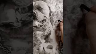 Pitbull Drawing #charcoal #draw #tutorial #charcoaltutorial