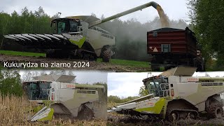 ⭐Mokre koszenie kukurydzy na ziarno w kwietniu  2024🌽⭐ 🔥Claas Lexion 760TT🔥