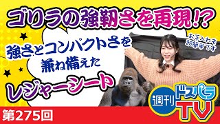 週刊ドスパラTV 第275回 2月3日放送