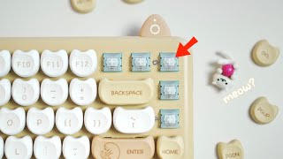 I Cannot Replace Switches | IQUNIX M80
0:00 Intro
0:12 How to lube switches without desoldering
1:12 Disassembly
2:12 Incompatible switch
3:16 Lubing switches
4:33 Dampener
5:12 Stabilizers
7:05 Input test & pingy noise
7:28 Sound comparison (Shure MV7)
8:53 Sound comparsion (Rode VideoMicro)
IQUNIX M80 https://bit.ly/3rWV6bR (Unboxing Video https://youtu.be/A-OfD7EMELI)
5% Discount Code: 3ildcat (affiliate link & code)
Typing Test https://typing.works
Krytox https://www.monstargears.com/57/?idx=143
TS80P Soldering Iron https://amzn.to/36aWCMu
SS-02 Solder Sucker https://amzn.to/3ikcXSH
Thinsulate Dampener (sold out) https://swagkeys.com/products/thinsulate-acoustic-dampner
π± Neko Atsume Figure https://amzn.to/3geTJ1B
π· Sony a7C Camera https://amzn.to/32mX4V9
π· Sony SEL35F18F 35mm F1.8 Lens https://amzn.to/32l5X1q
π€ Rode VideoMicro https://amzn.to/34vCDFw
π Shure MV7 https://amzn.to/2PTrSKa
π΅ Music
Patio - Martin Landstrom
Chocoholic - Martin Landstrom
Epidemic Sound https://epidemicsound.com/referral/mm8u5r (Referral link)
π Sponsors & Partners
Banggood https://ban.ggood.vip/VP4w
Amazon https://amzn.to/2TxOmQ0
Monstargear https://www.monstargears.com
Daily Clack https://dailyclack.com?aff=4
KBDfans https://kbdfans.com/r?id=soudav
Disclosure: Amazon, Banggood, Daily Clack, KBDfans links provided are linked to my affiliate accounts & support the channel.
βοΈ Business inquiries: 3ildcat@naver.com (No commission build)
π :3ildcats Memberships https://www.youtube.com/channel/UCeHOkFGW-7uAZFvq3BXb8YA/join I Cannot Replace Switches | IQUNIX M80