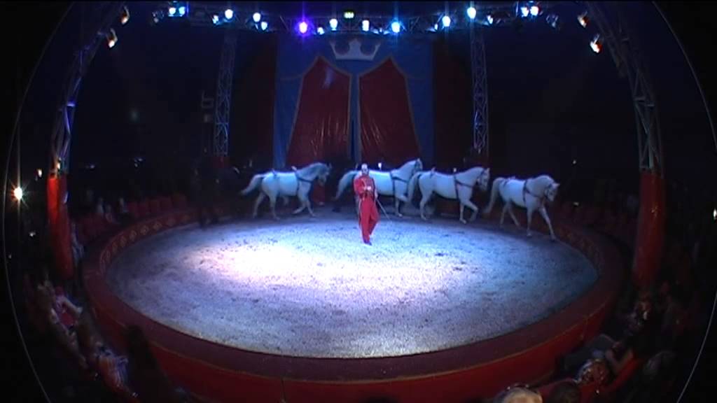 Liberty Horses Represented by Int.Show Productions YouTube