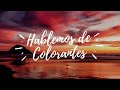 HABLEMOS DE COLORANTES