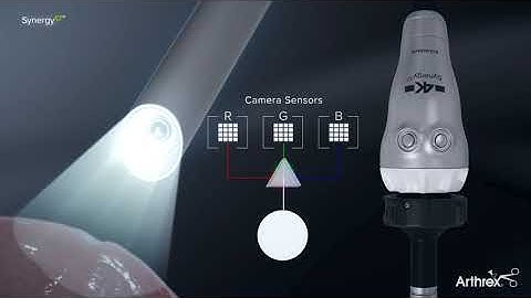 SynergyID™ Functional Design Animation