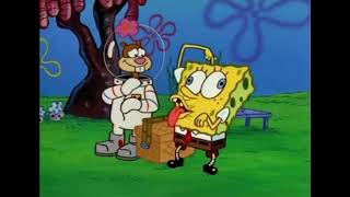 Spongebob Likes Karate