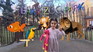 Bakı Zoo Parkı | Humay ilə Zoopark gəzintimiz | Zooparkda hansı heyvanlarl gördük? Zooloji Park by Humka Umka 938 views 9 months ago 21 minutes
