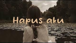 NIDJI -HAPUS AKU (SPEED UP   LIRIK)