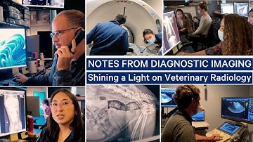 Notes from Diagnostic Imaging: Shining a Light on Veterinary Radiology